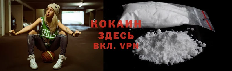 darknet телеграм  Курган  Кокаин FishScale  где найти наркотики 